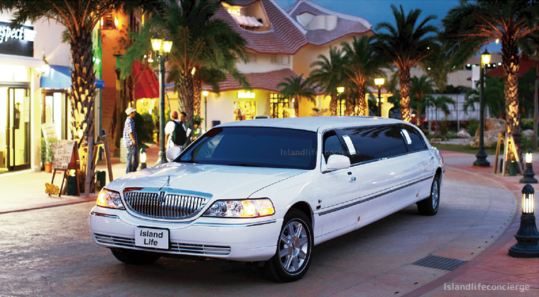 limousine_detail