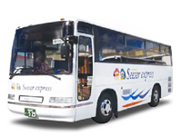 Large bus